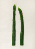 Asparagus Beeswax Taper Candles